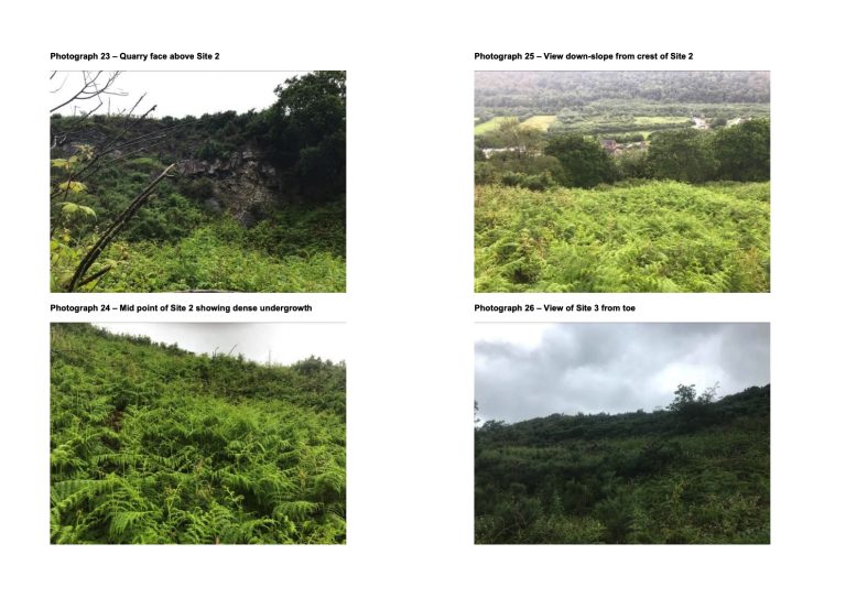 021D5D0A 7FE2 40C3 B5D2 F5D5626156E8 768x543