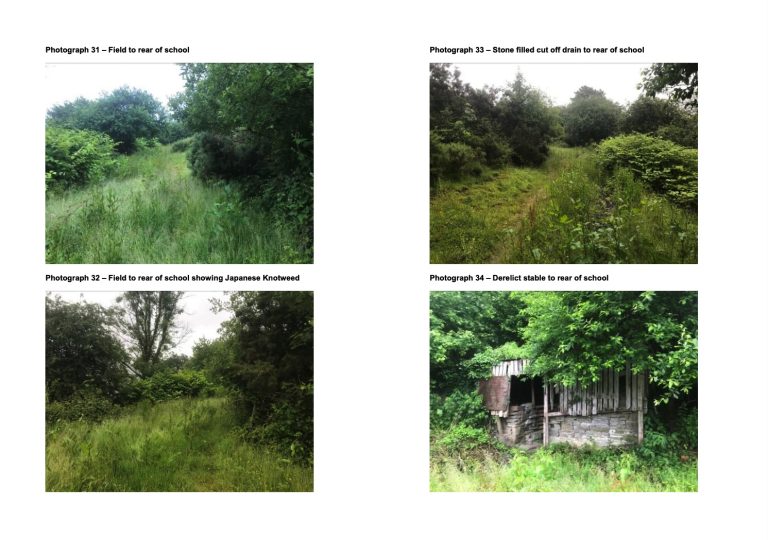 157EFD85 9C49 45B4 8C84 C9C2D64CB928 768x540