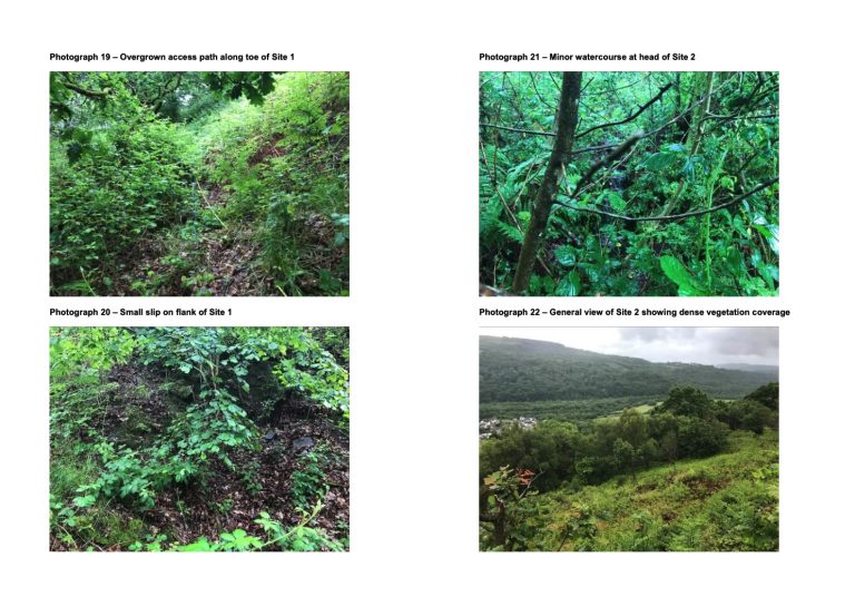 77CD5DBC B326 491C 823C 84B1557F7F17 768x544