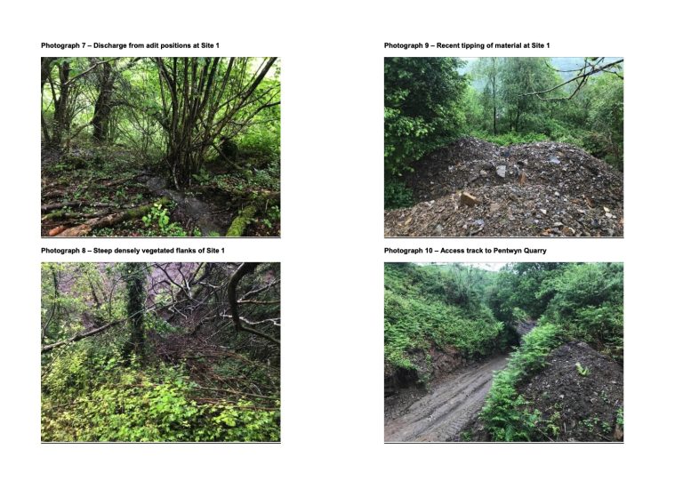 A299E2CD 7931 4126 9579 8F64D62FFCB7 768x541