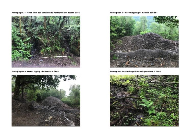 F3A4983D 7889 4B60 B233 BE445180168E 768x541